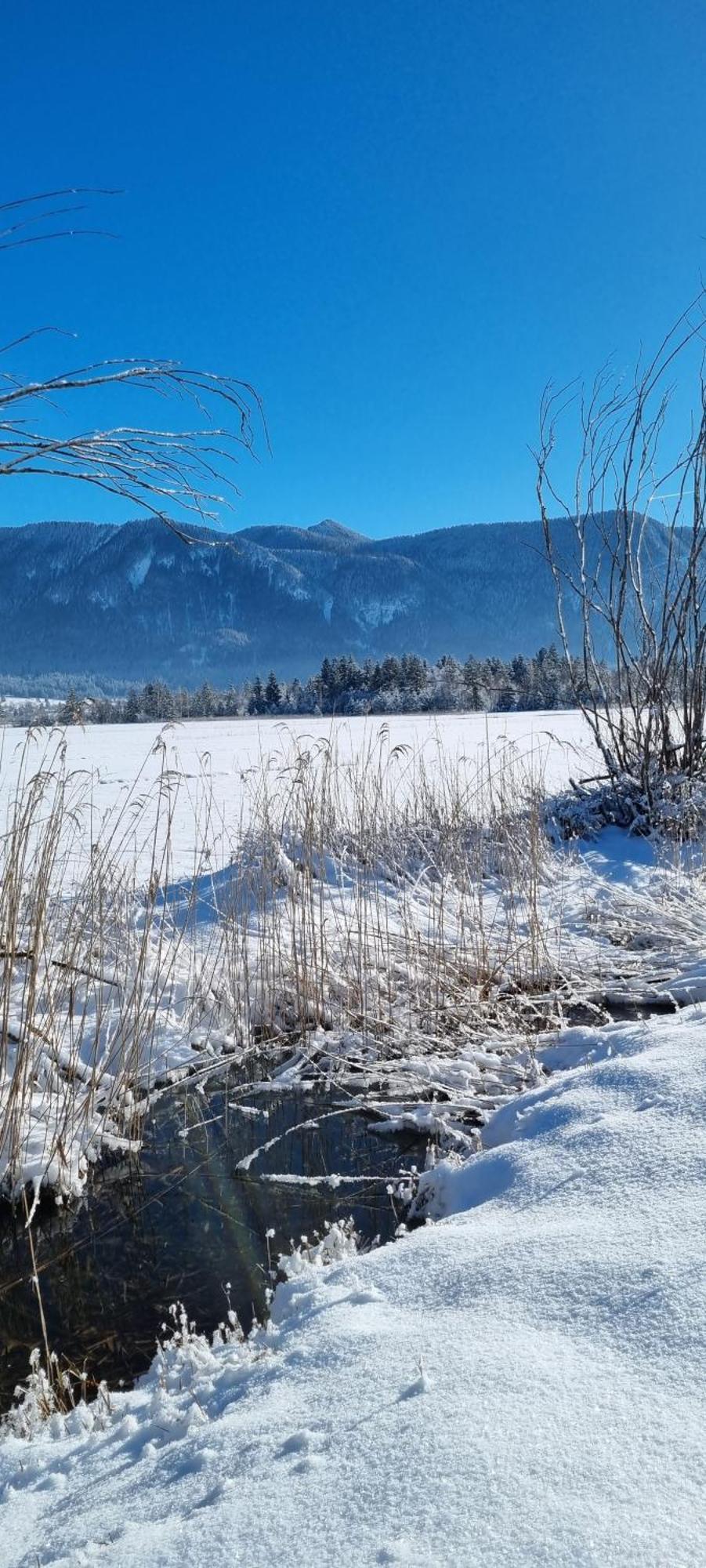 Aparthotel Werdenfels Murnau am Staffelsee Luaran gambar